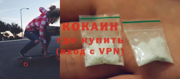 тгк Гусев