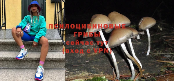 тгк Гусев