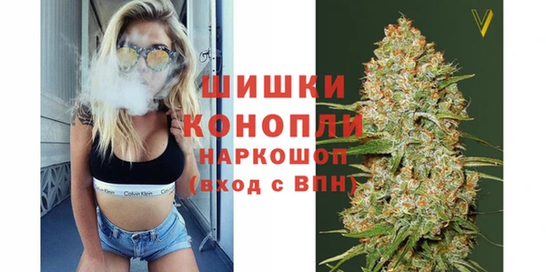 тгк Гусев