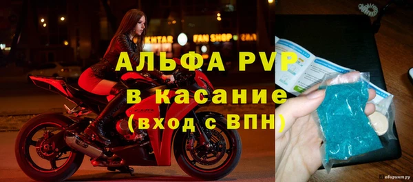 тгк Гусев