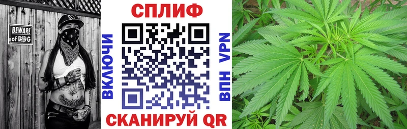 Купить  Будённовск  Бошки Шишки VHQ 